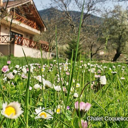 Chalet Coquelicot كالافريتا المظهر الخارجي الصورة