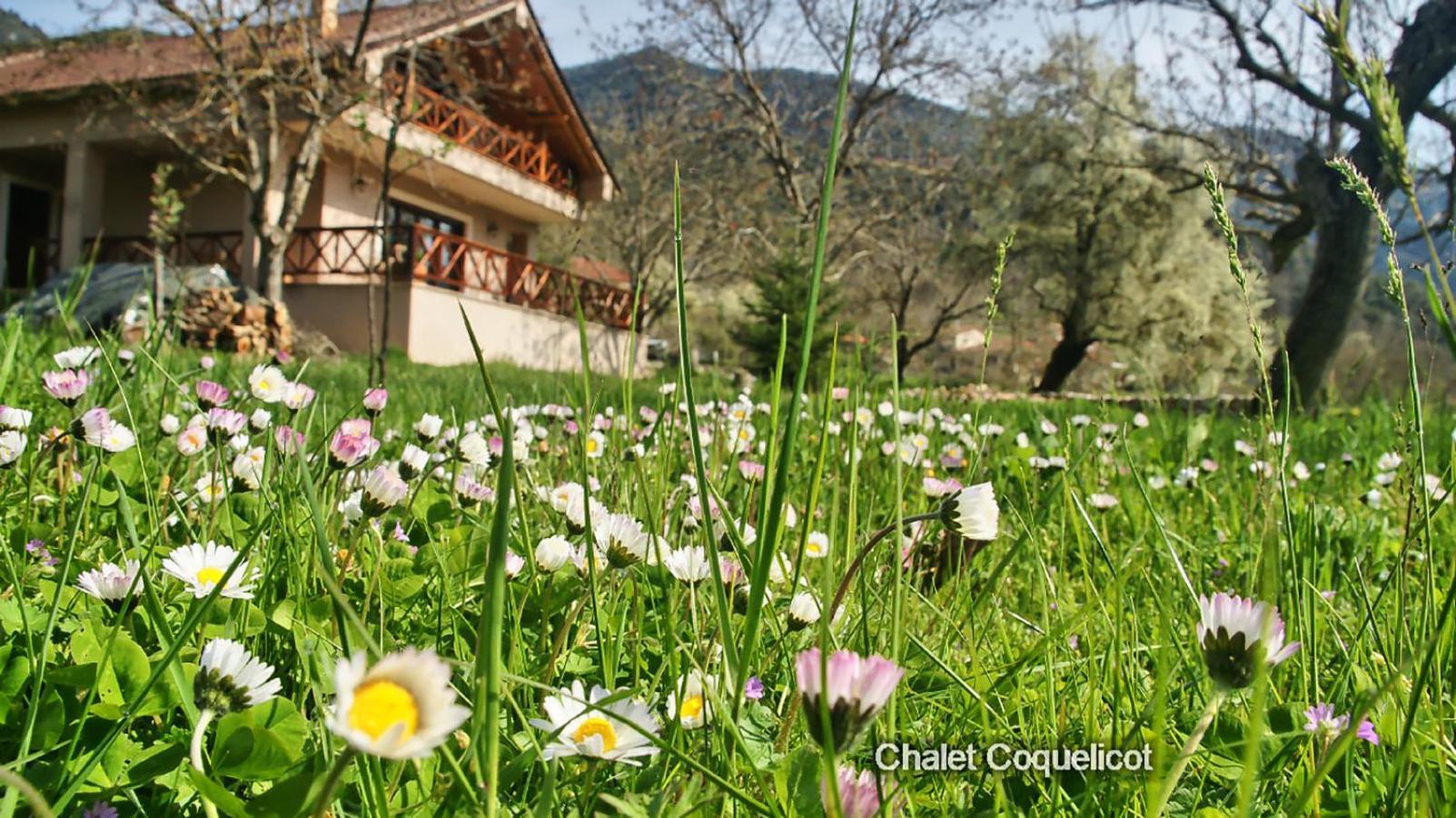 Chalet Coquelicot كالافريتا المظهر الخارجي الصورة
