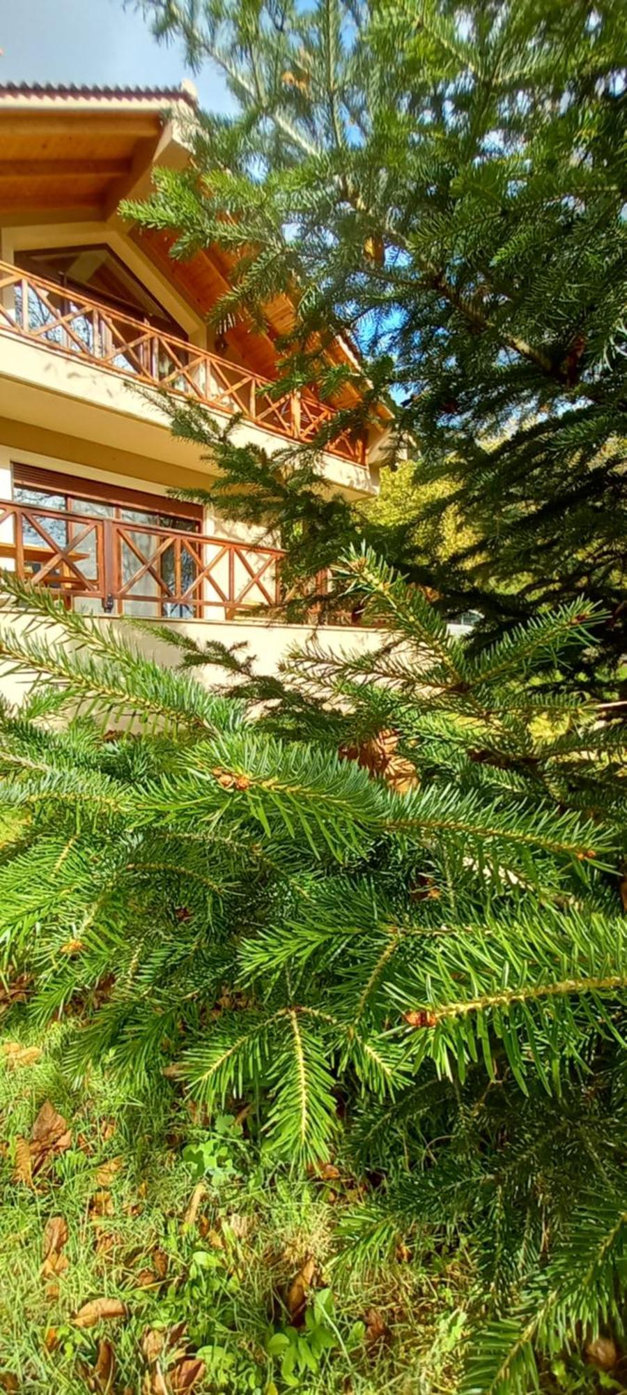 Chalet Coquelicot كالافريتا المظهر الخارجي الصورة